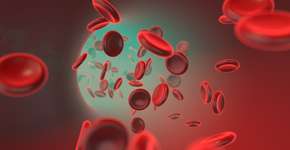 A fruta cheia de ferro que se você comer todos os dias pode ajudar a combater a anemia