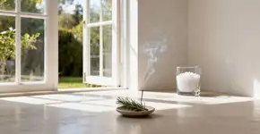 Foto: (Imagem sem texto alternativo disponivel ID [2669781])