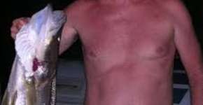 Vídeo mostra como a pescaria de Bolsonaro acabou muito mal