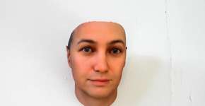 Foto: (Imagem sem texto alternativo disponivel ID [426647])