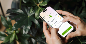 Foto: (The Liven App - Divulgação)