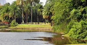 Caminhada contra a dor acontece no Bosque da Barra