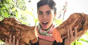 Foto: (Imagem sem texto alternativo disponivel ID [1439949])