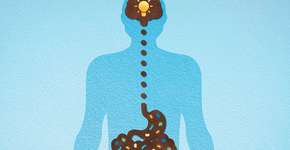 Foto: (Imagem sem texto alternativo disponivel ID [2434434])