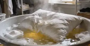 Foto: (Imagem sem texto alternativo disponivel ID [2676571])