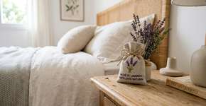 Como espantar pernilongos do quarto usando um pouco de lavanda: repelente caseiro eficaz
