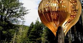 Foto: (Imagem sem texto alternativo disponivel ID [1868534])