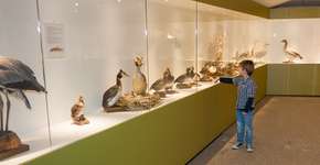 Foto: (Imagem sem texto alternativo disponivel ID [1611535])