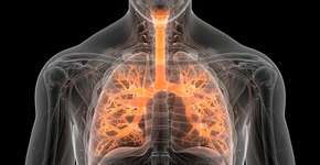 Foto: (iStock / magicmine)