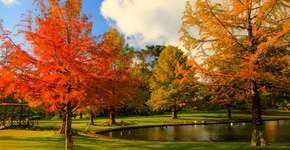 Passeios para fazer no principal destino de inverno do Brasil