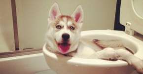 Foto: (Imagem sem texto alternativo disponivel ID [876740])