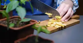 Carne de casca de banana: uma receita surpreendente