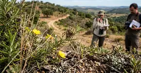 A espécie que inspirou o Homem-Aranha é uma das seis novas descobertas no Alentejo