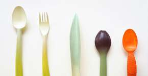 Foto: (Imagem sem texto alternativo disponivel ID [1836778])