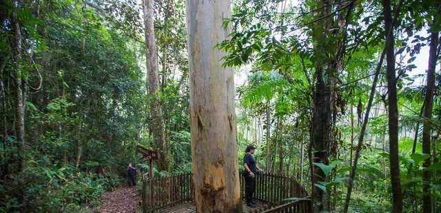 Cinco parques naturais de SP vão ser abertos ao público neste verão