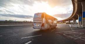 Foto: (Divulgação/Freepik)