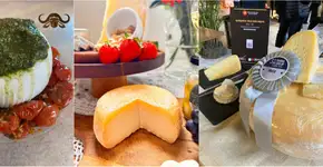 6 queijarias artesanais perto de SP para bate e volta