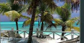 Foto: (Divulgação)