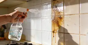 Foto: (Imagem sem texto alternativo disponivel ID [2716784])