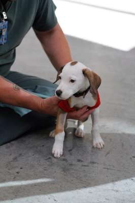 Todas as fotos: Reprodução Facebook