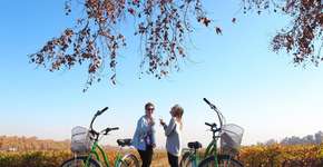 Pedalar por vinhedos é atração imperdível em Santiago