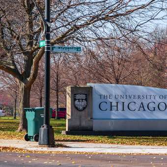 Featured mobile: Natação e diplomas lideram busca por novas habilidades em Chicago