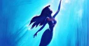 Foto: (Imagem sem texto alternativo disponivel ID [1865927])