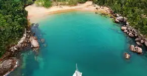 Foto: (Divulgação/Governo de SP)