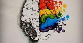 Faça o teste e descubra qual é o lado mais dominante de seu cérebro