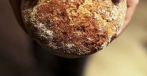 Dividindo o pão: quando a economia colaborativa une vizinhos