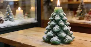 Foto: (Imagem sem texto alternativo disponivel ID [2676414])