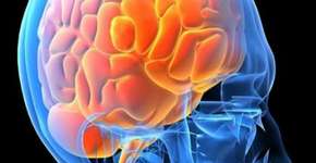 Foto: (Imagem sem texto alternativo disponivel ID [1834803])