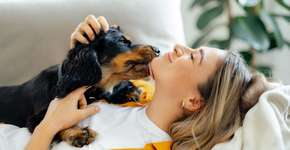 Foto: (Imagem sem texto alternativo disponivel ID [2611817])