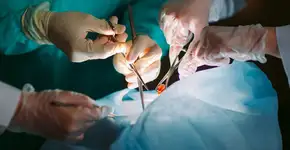 Foto: (davit85/DepositPhotos)