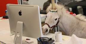 Foto: (Imagem sem texto alternativo disponivel ID [967411])