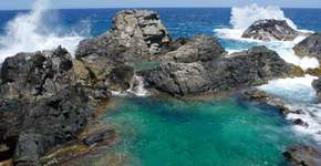 Foto: (Concept Farm)