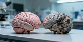 A partir de que idade a cerveja é mais prejudicial? Neurologista identifica o limite exato