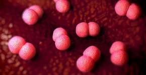 Foto: (Peddalanka Ramesh Babu/istock)