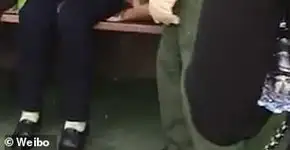 Filhote de tigre chora enquanto turistas o seguram para selfies