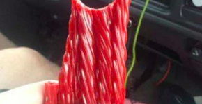 A divertida combinação de preguiça com criatividade