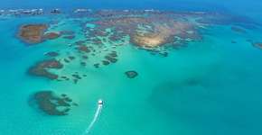 ‘Caribe brasileiro’, Maragogi (AL) decreta alerta máximo por óleo