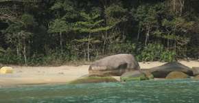 Praia Brava, em Paraty, isolada, vazia e de nudismo