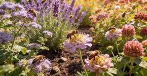 Foto: (Imagem sem texto alternativo disponivel ID [2700388])