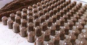 Foto: (Imagem sem texto alternativo disponivel ID [1854141])