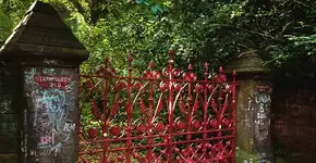 Foto: (Divulgação)