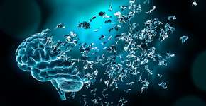 Foto: (iStock/libre de droit)