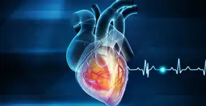 Foto: (iStock/Mohammed Haneefa Nizamudeen)