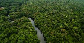 Temer libera exploração mineral em reserva da Amazônia