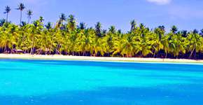 Foto: (Imagem sem texto alternativo disponivel ID [811202])