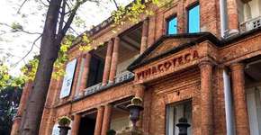 Foto: (Divulgação)